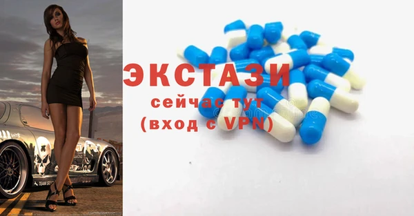 ECSTASY Богородск