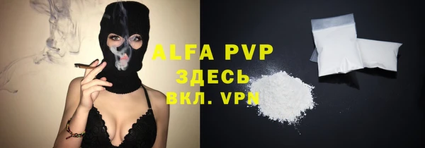 ECSTASY Богородск