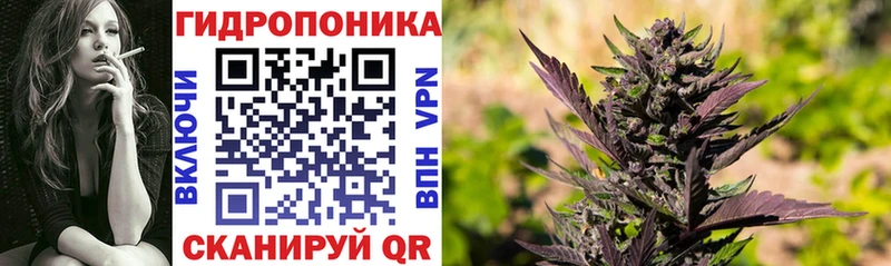 Купить  Лихославль  Шишки марихуана OG Kush 